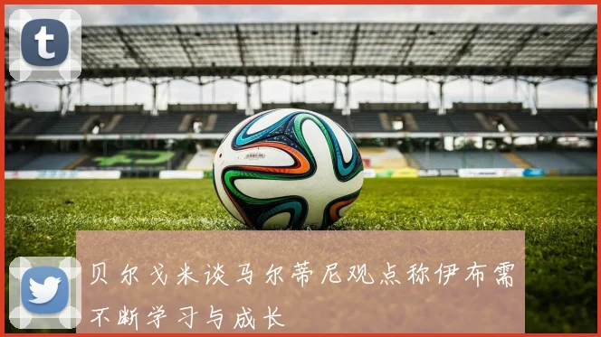贝尔戈米谈马尔蒂尼观点称伊布需不断学习与成长